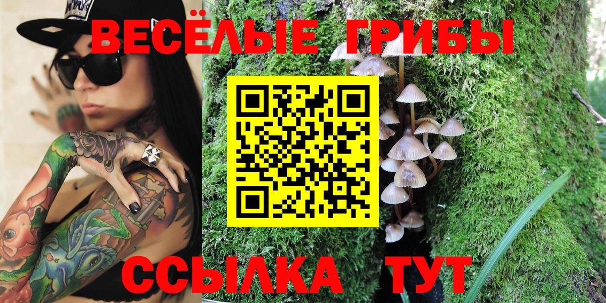 Псилоцибиновые грибы мухоморы  Вход с VPN  Кингисепп  Галлюциногенные грибы Psilocybe 