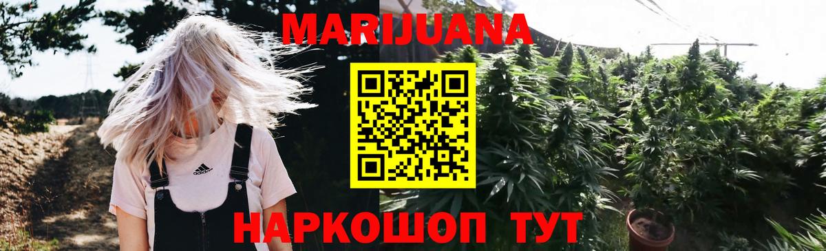 Каннабис планчик Кингисепп
